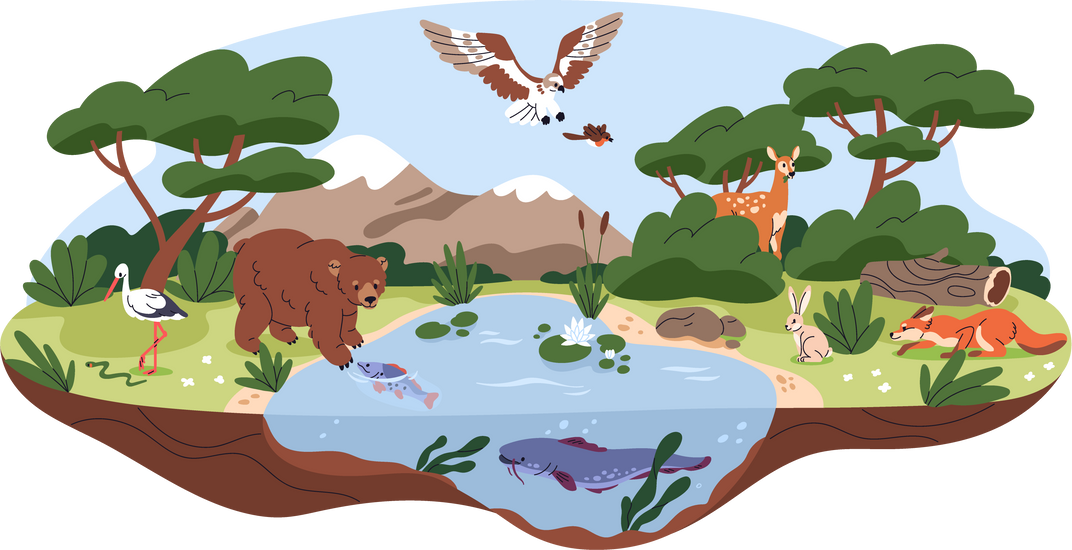 Ecosystem Landscape Illustration